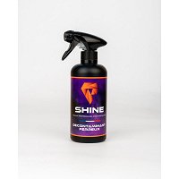Décontaminant ferreux 450 ml SHINE
