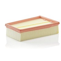Filtre à air MANN-FILTER C2433/2