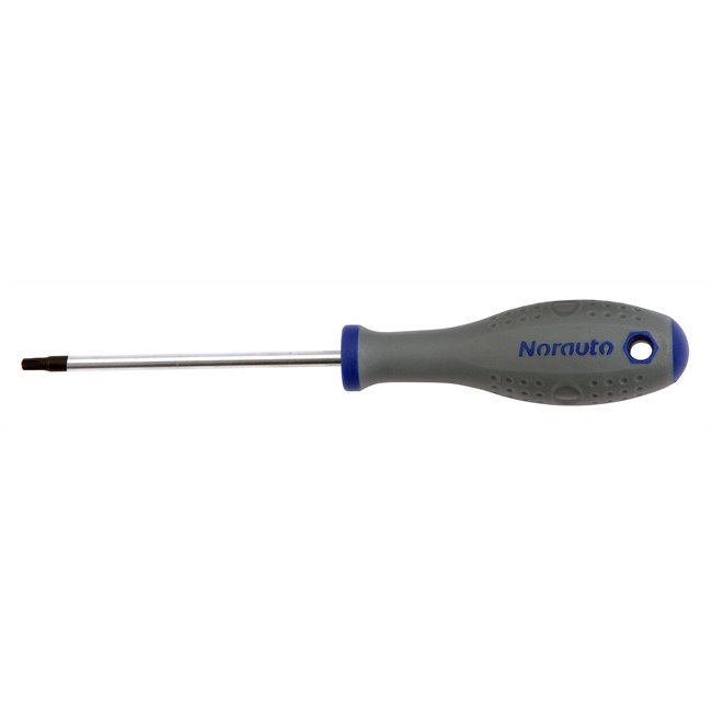 Tournevis Torx T25 Norauto
