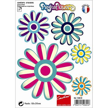 Permite Fabulă Toes Norauto Stickers Voiture Amazon 901comics Com