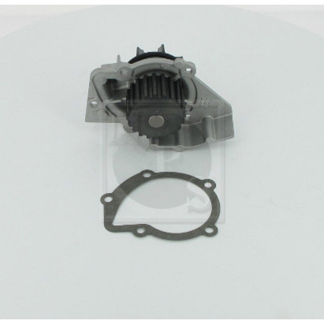 Pompe À Eau Nps S151i17