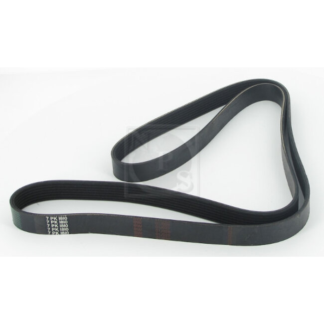 Courroie D'accessoires Nps T111a52