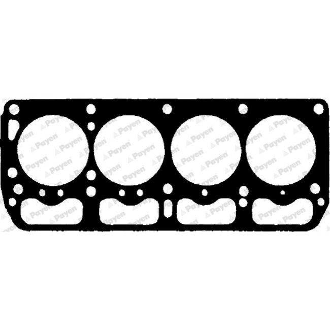 Joint De Culasse Payen Br270