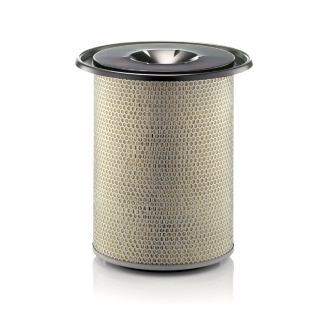 Filtre À Air Mann-filter C301184