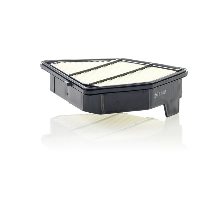 Filtre À Air Mann-filter C25028