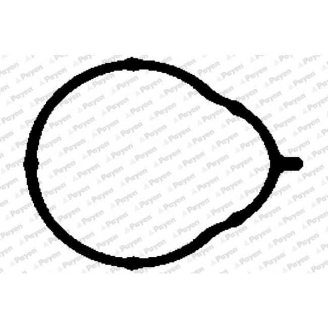 Joint D'étanchéité Collecteur D'admission Payen Jd5858