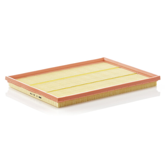 Filtre À Air Mann-filter