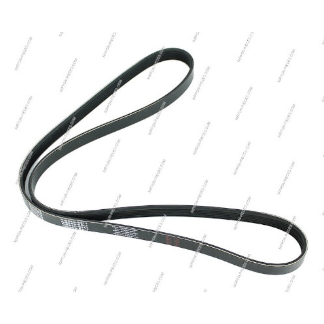 Courroie D'accessoires Nps H111i18