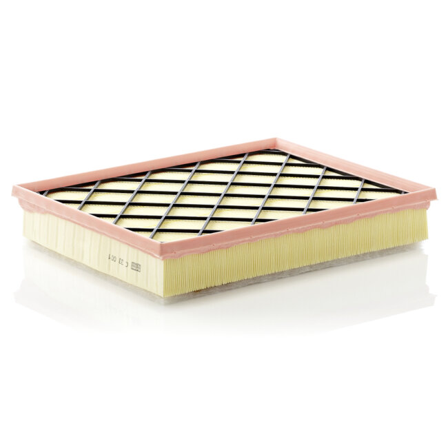 Filtre À Air Mann-filter