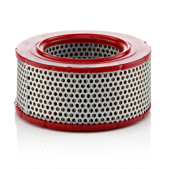 Filtre À Air Mann-filter