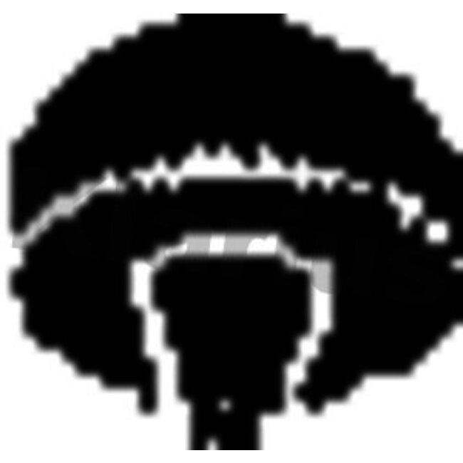 Joint Échappement Klarius 420237