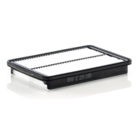 Filtre à air MANN-FILTER C29019