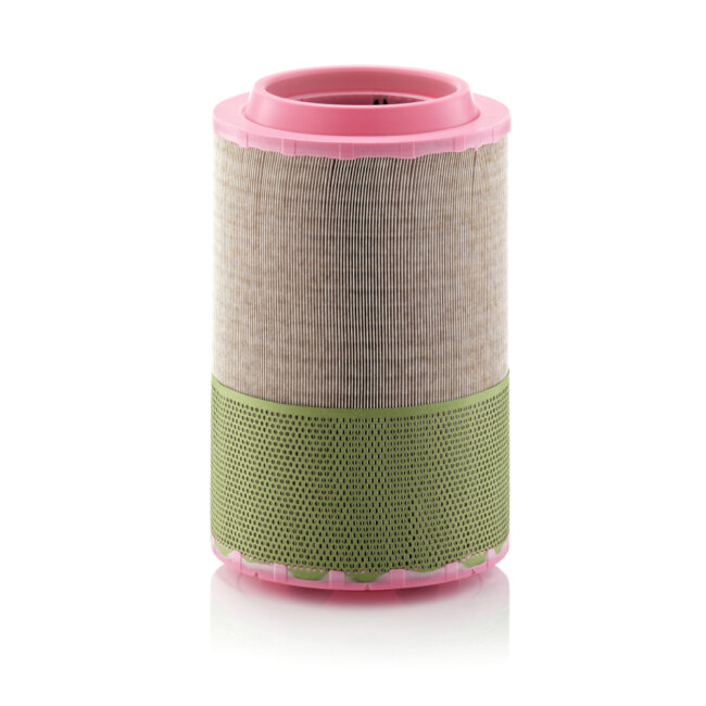 Filtre À Air Mann-filter C271020