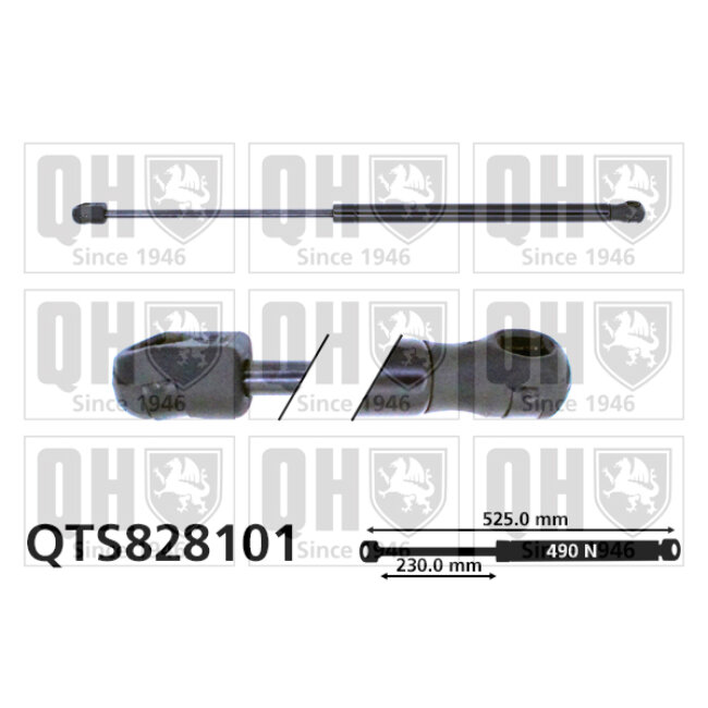 Vérin De Coffre Quinton Hazell Qts828101