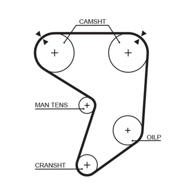 Courroie De Distribution Gates 5196