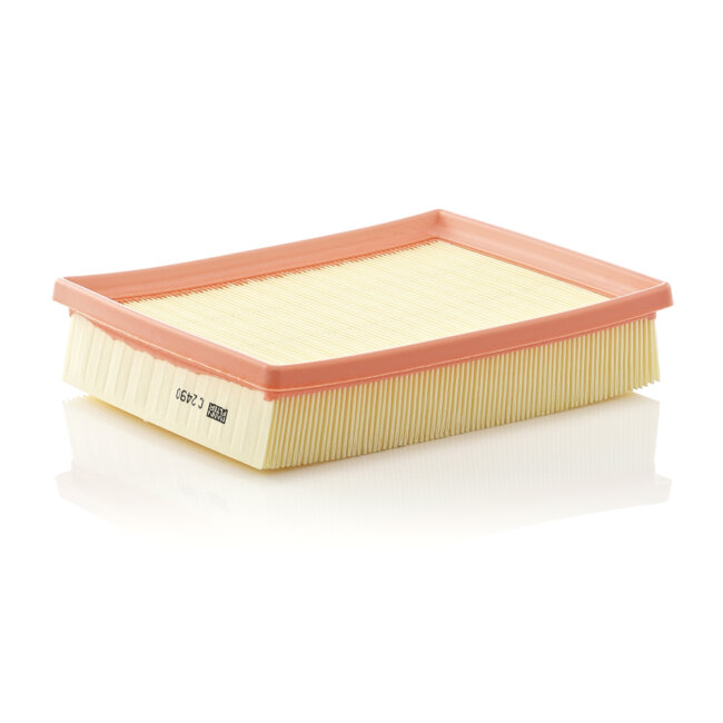 Filtre À Air Mann-filter