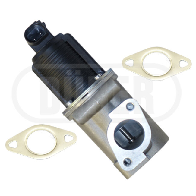 Vanne Egr Dürer Vr31117