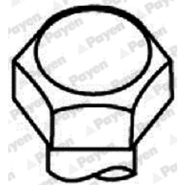 Jeu De Vis De Culasse Payen Hbs001