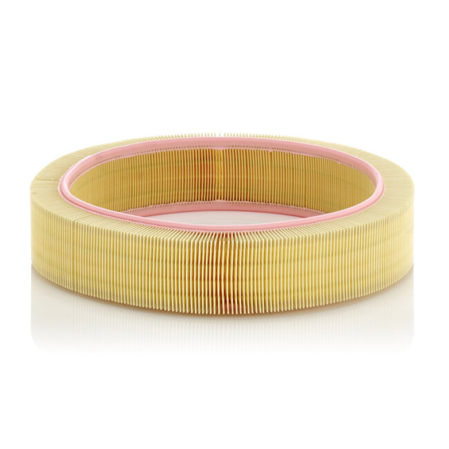 Filtre À Air Mann-filter