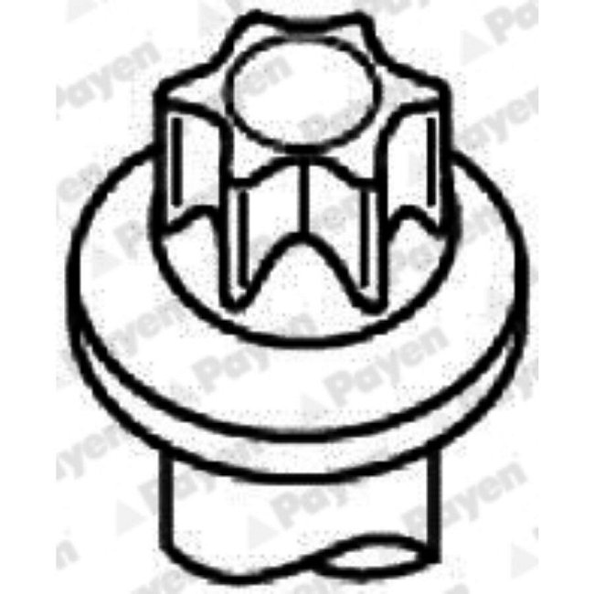 Jeu De Vis De Culasse Payen Hbs511