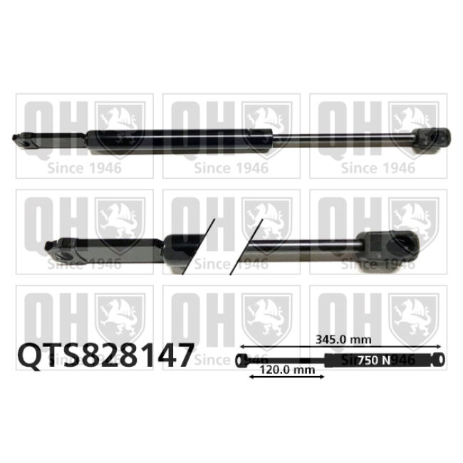 Vérin De Capot Quinton Hazell Qts828147