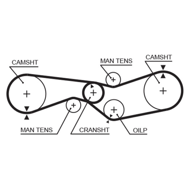 Courroie De Distribution Gates 5012