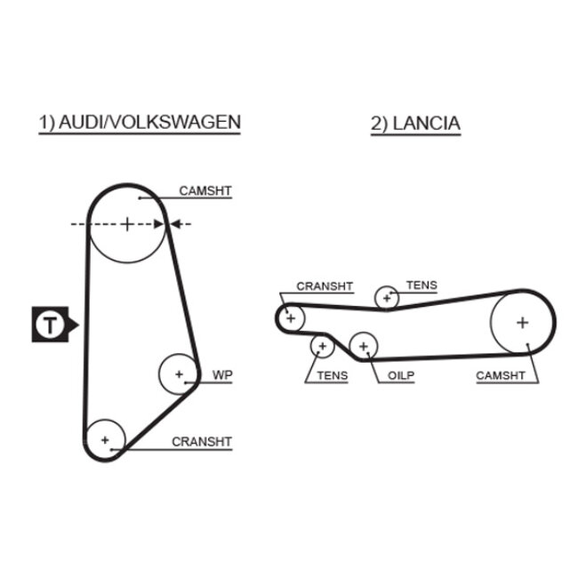 Courroie De Distribution Gates 5031
