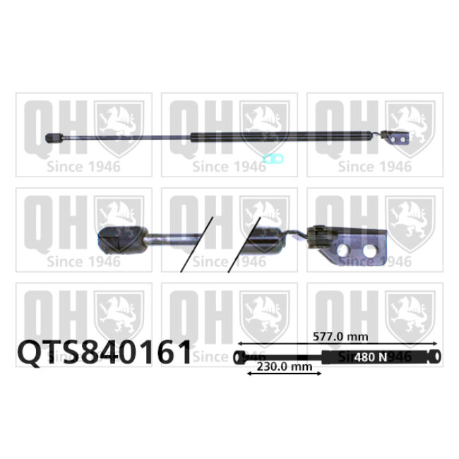 Vérin De Coffre Quinton Hazell Qts840161