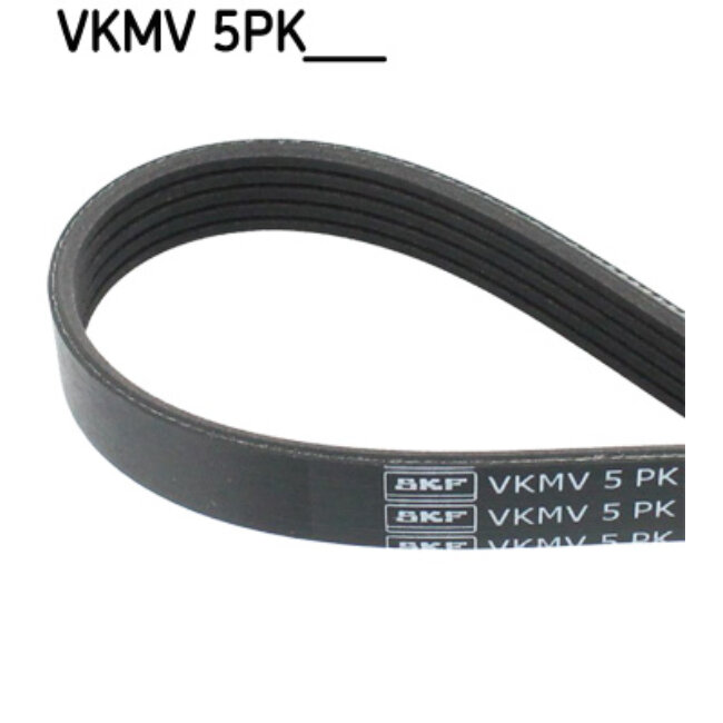 Courroie D'accessoires Skf Vkmv5pk1150