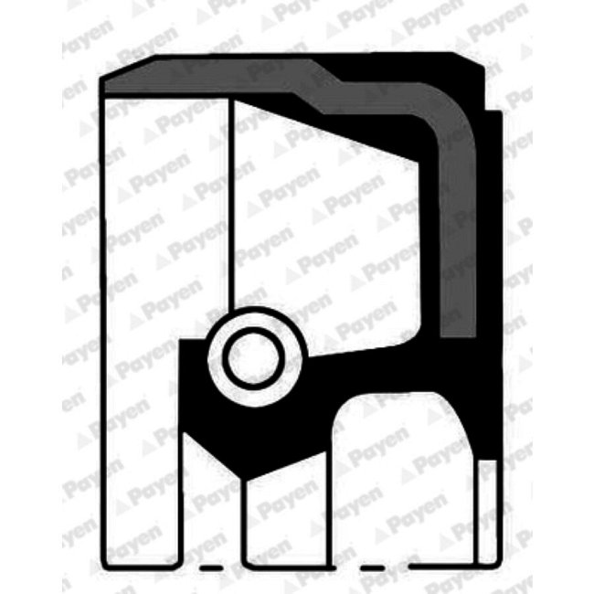 Bague D'étanchéité Tige De Soupape Payen Nb971