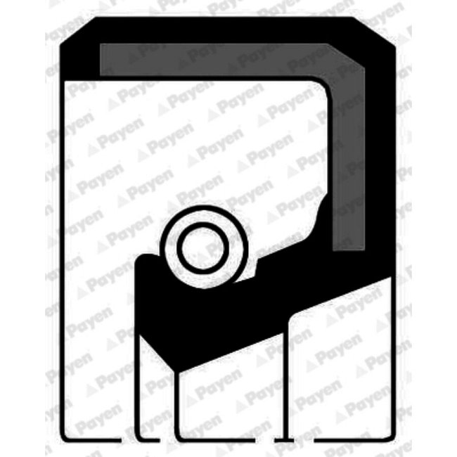 Bague D'étanchéité Arbre À Cames Payen Nj207