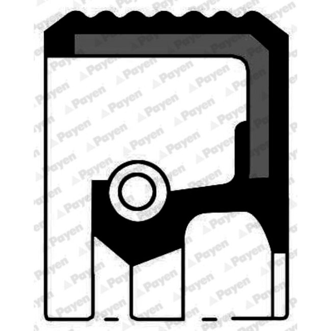 Bague D'étanchéité Arbre À Cames Payen Nf817