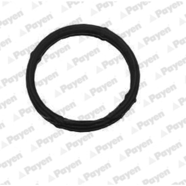 Joint D'étanchéité Collecteur D'admission Payen Jd5807