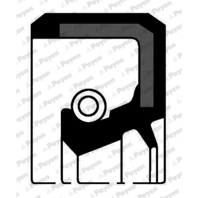 Bague D'étanchéité Arbre À Cames + Vilebrequin Payen Nj344