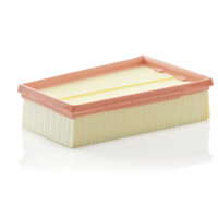 Filtre à air MANN-FILTER C2433/2