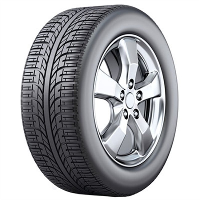 Pneu - Voiture - WINTER - Fortuna - 205-45-17-88-V