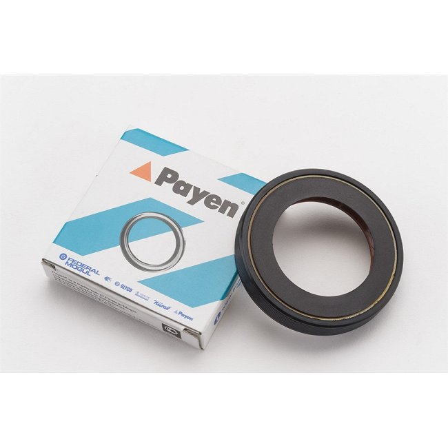 Bague D'étanchéité Arbre À Cames Payen Na5318